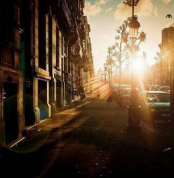 29°柔光案例鑒賞 | 這個夏天，讓柔光溫暖的你客