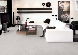 勢頭強勁，是否成為行業趨勢?