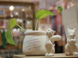 柔光·地標 | 最不容忽視的優雅，是對生活的不將