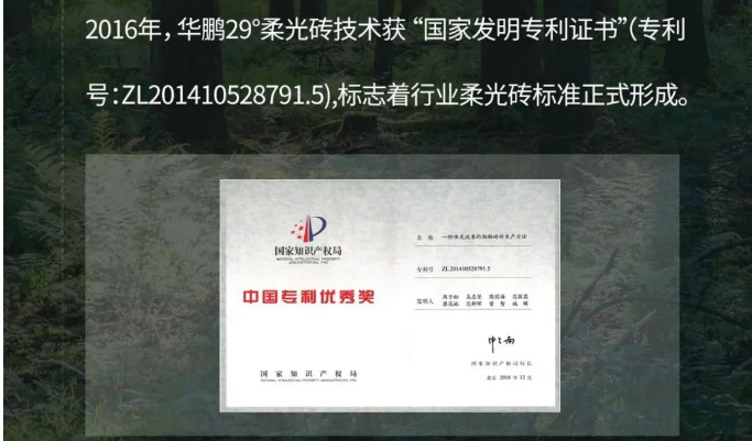 十年柔光歷程，榮譽(yù)滿載 | 遇見柔光